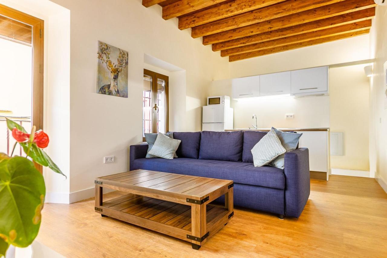 Appartement Stunning In